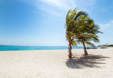 What’s Wrong with the Love Island Look?